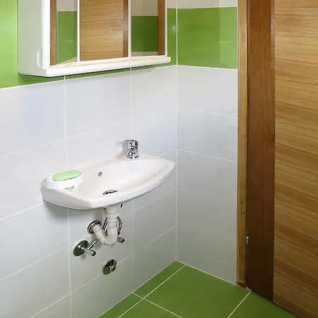 Holiday home Ferienwohnung Labin 434s *